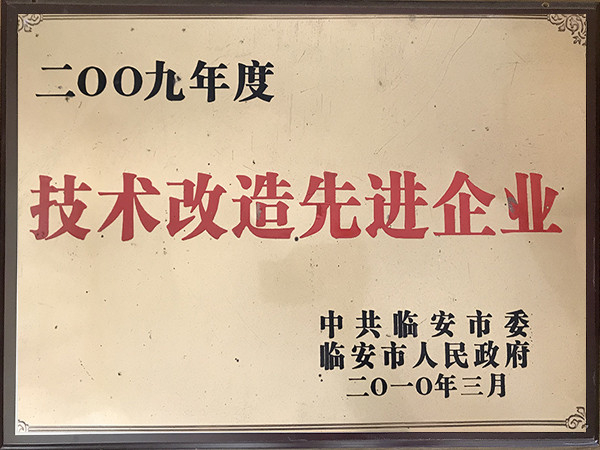 2009年度技術(shù)改造先進企業(yè)